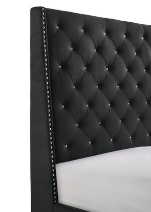 Chantilly Black Velvet King Upholstered Bed